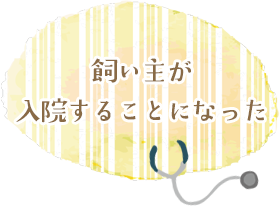 飼い主が入院することになった